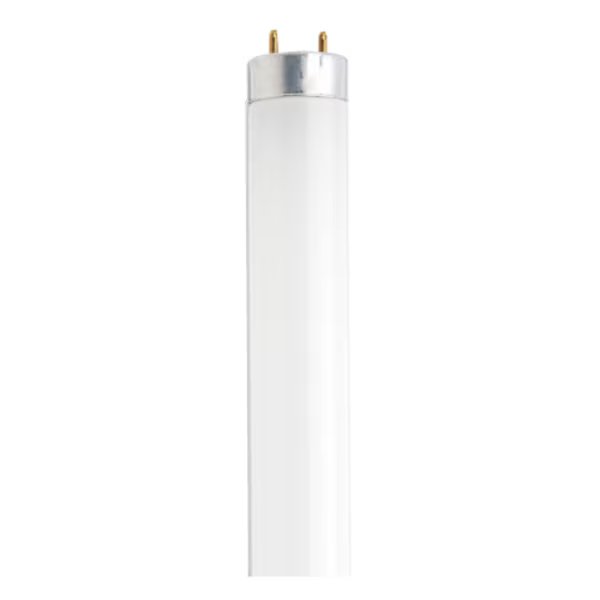 30W - 36 Inch Fluorescent T8 - 6500K - 1850L - G13, Satco, Mfr#: S26518